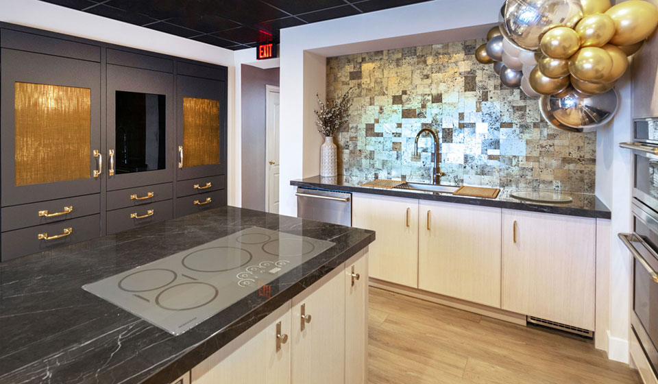 Built-in Refrigerators Induction Cooktop